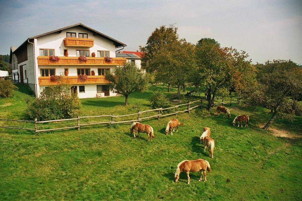 Biobauernhof Wolf-Hof Apartman Pressbaum Kültér fotó